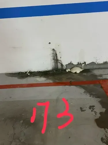 media-3