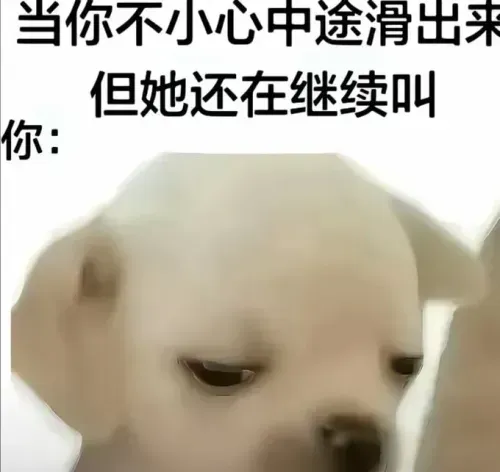 media-0