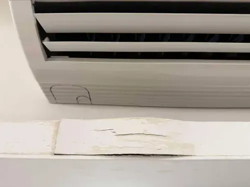 media-1