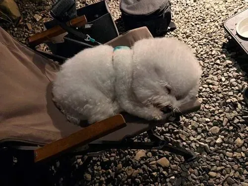 media-3