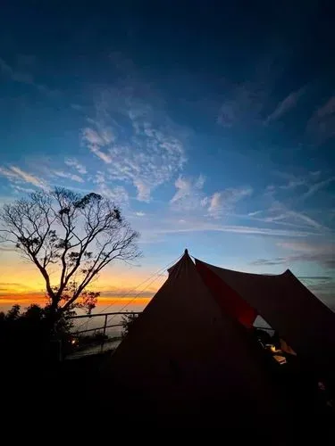 media-6