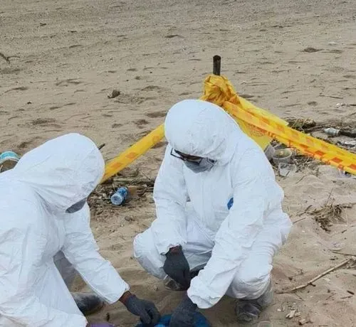 media-0