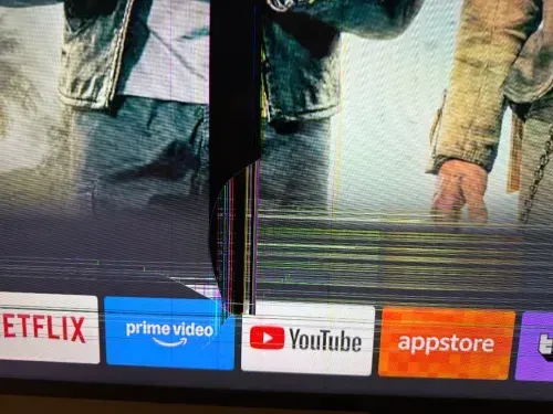 media-3