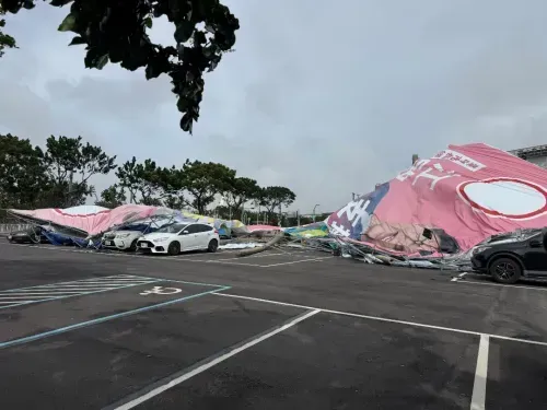 media-0