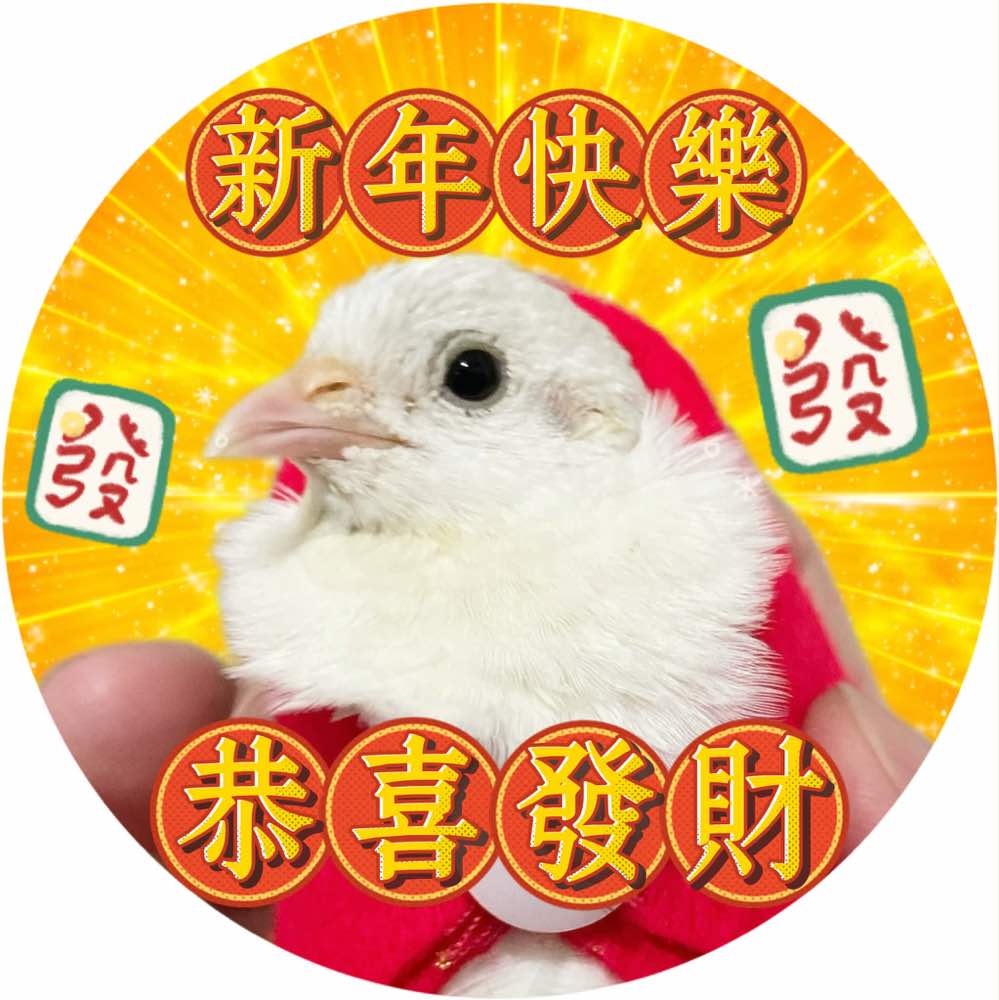 qoo641216
