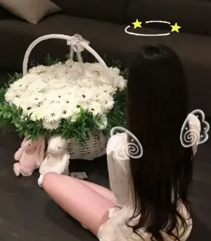 4y5pig
