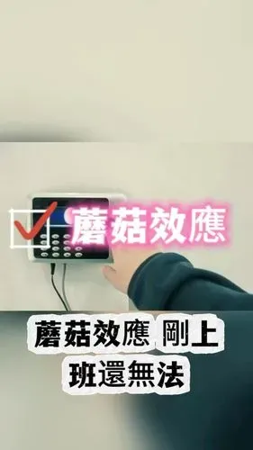 media-0