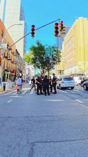 media-0