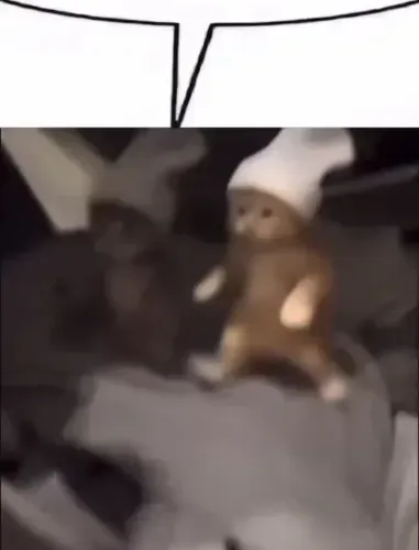 media-0