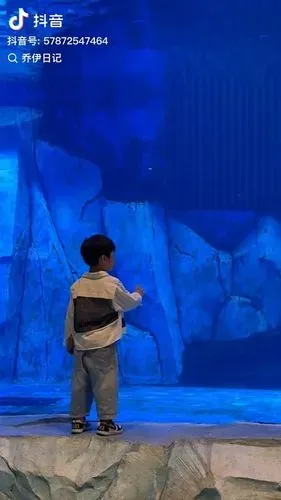 media-0