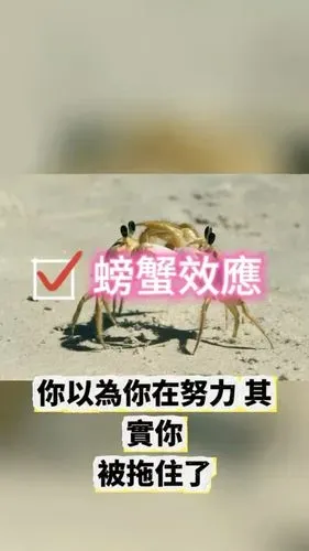 media-0