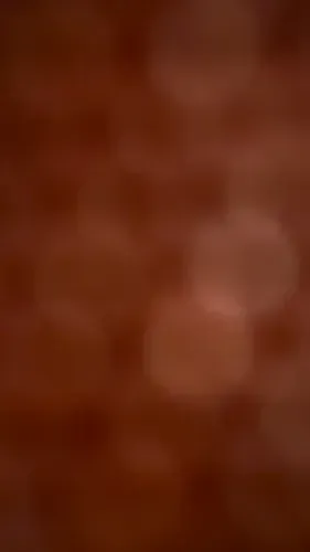 media-3