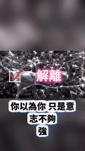media-0
