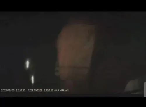 media-2