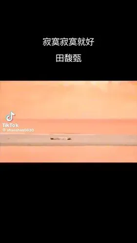 media-0